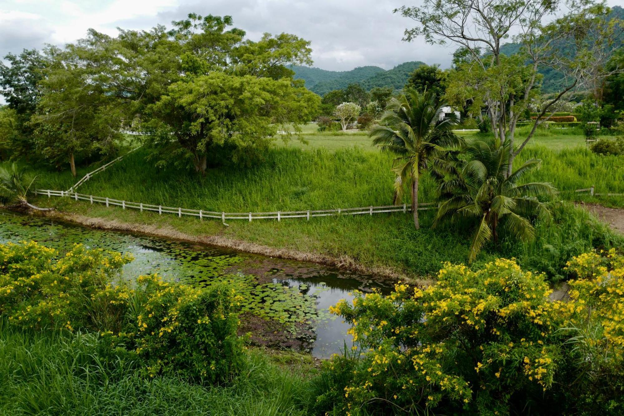 Monlada Khaoyai Otel Mu Si Oda fotoğraf